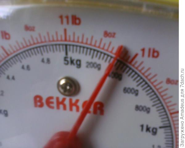 тттт