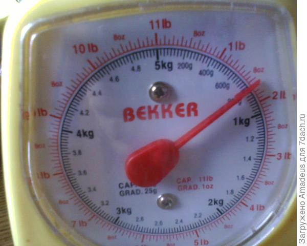 Общий вес