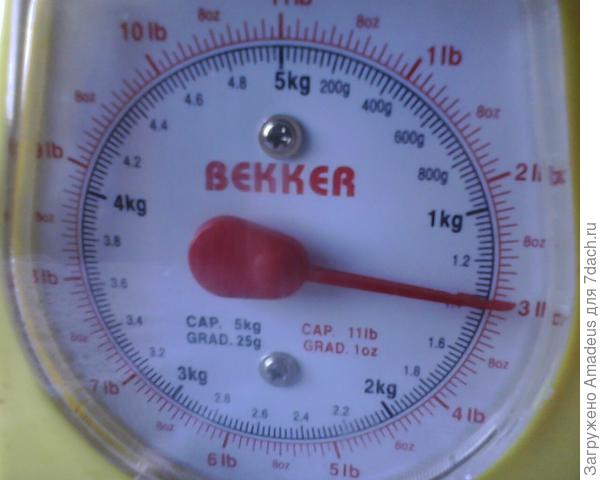 1 кг 350 гр