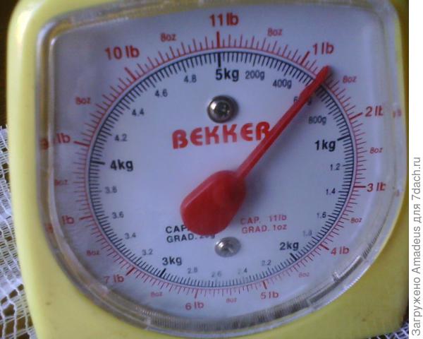 600 гр