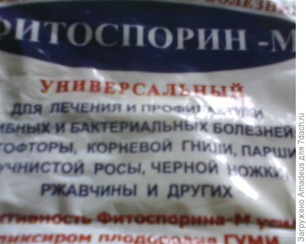 раствором Фитоспорина М