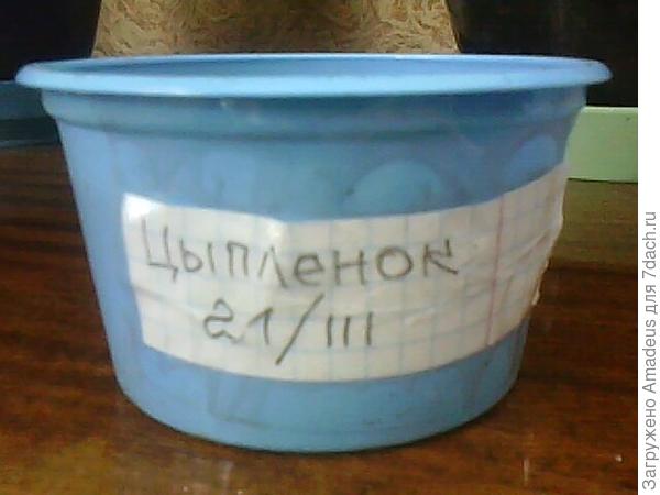 тттт