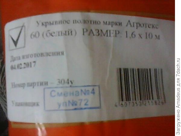 ТТТТ