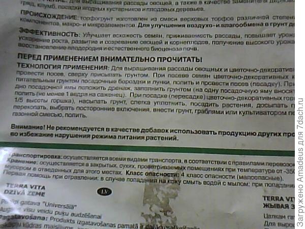 ттттт