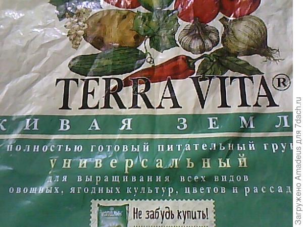 ттттт