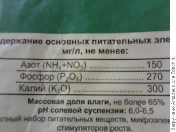 ттттт