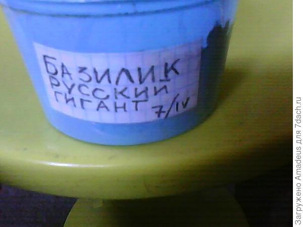 тттт