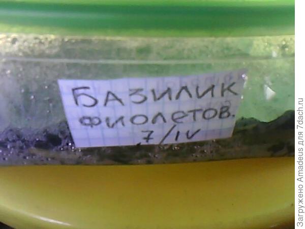 тттт