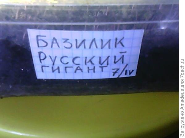 тттт