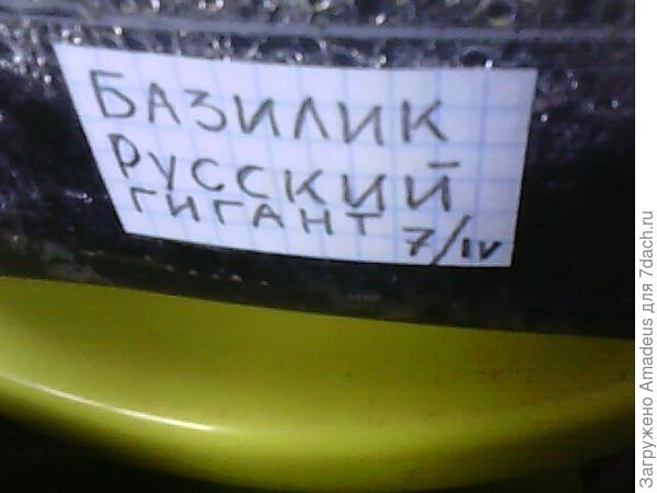 тттт