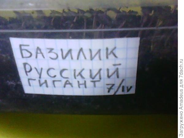 ттттт