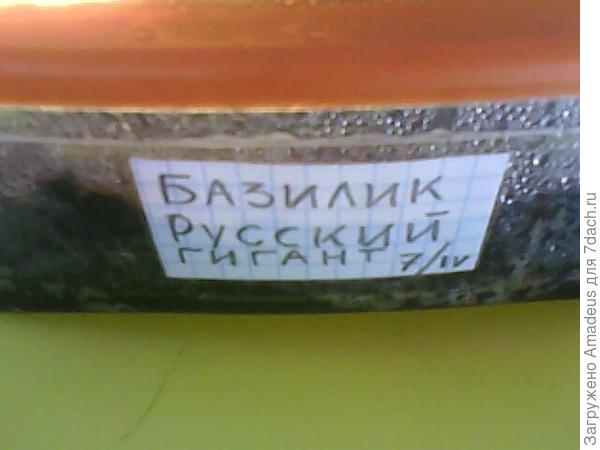 тттт
