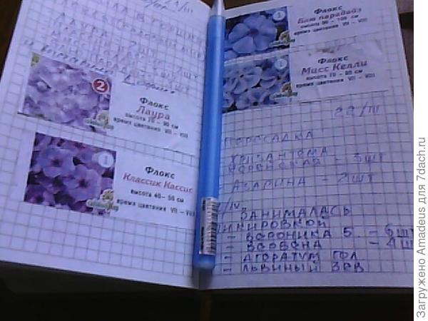 Блокнот