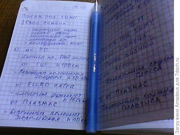 Когда что посеяла