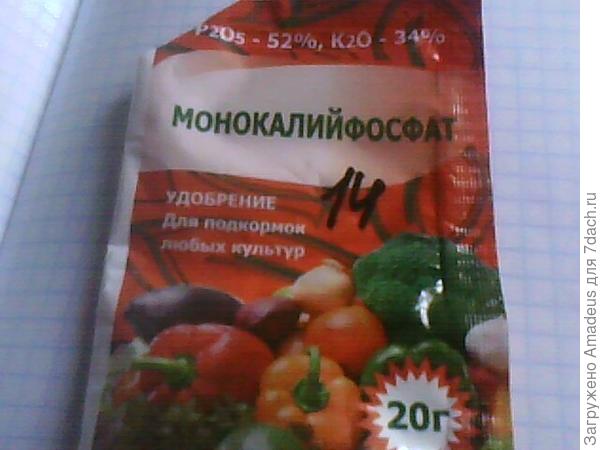 ттттт