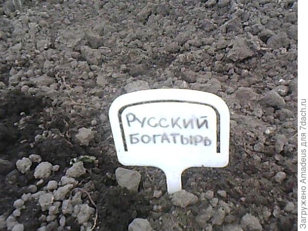 тттт