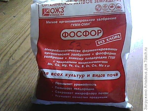ттттт