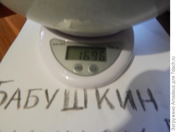 тттт