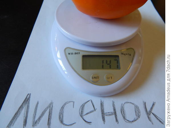 весом 147 г