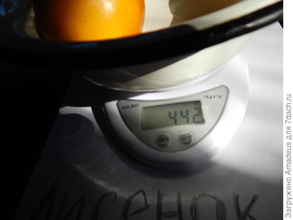 442 г - 238 г = 204 г