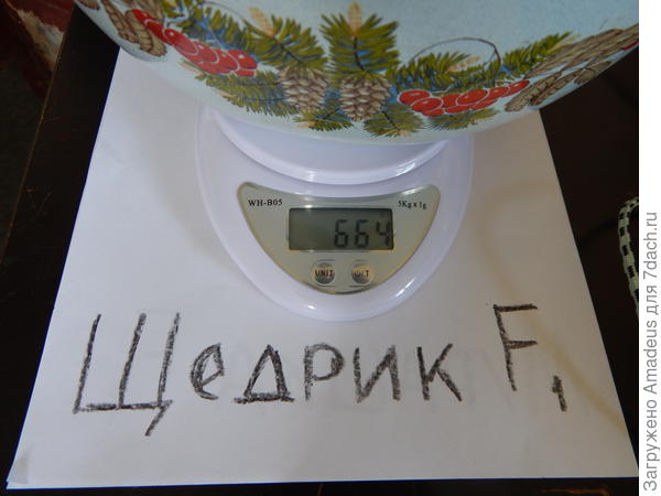 ттттт