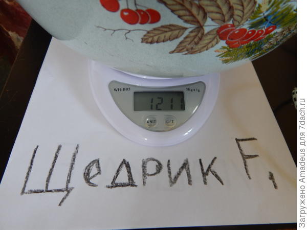 ттттт