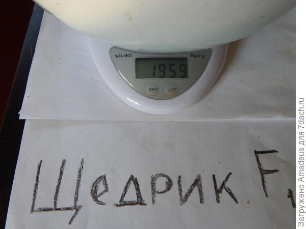 1 кг 959 г - тара 669 г = 1 кг 290 г