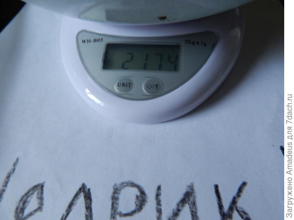 2 кг 174 г - тара 669 г = 1 кг 505 г