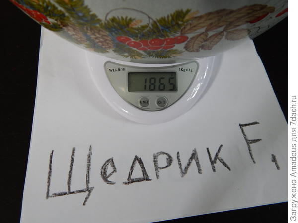1 кг 865 г - тара 669 г = 1 кг 196 г