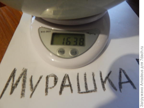 Вес с тарой 1 кг 638 г