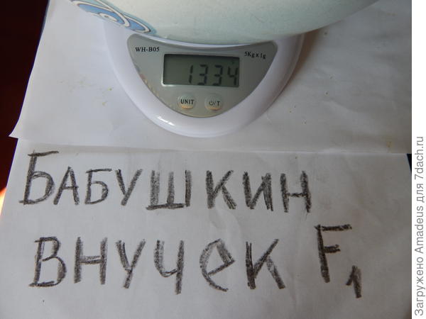 Общим весом 1 кг 334 г - тара 669 г = 665 г