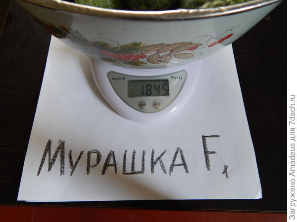 тттт