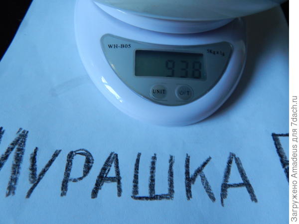 Вес тары 393 г