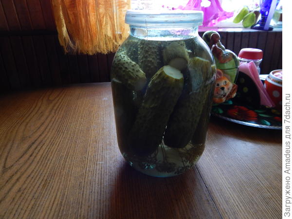 ттт