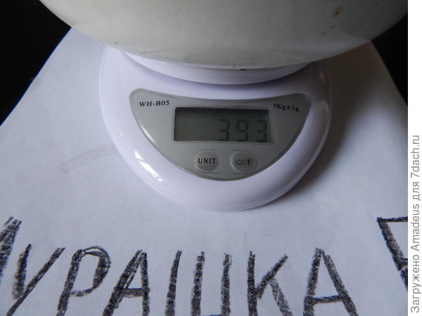 393 г