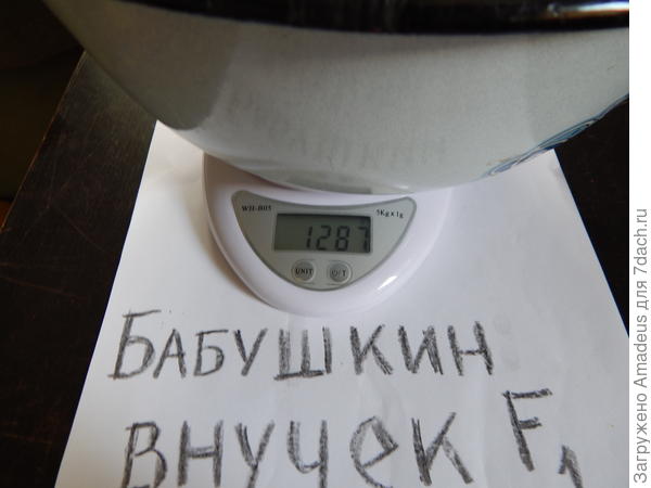 Вес с тарой 1 кг 287 г - тара 669 г = 618 г