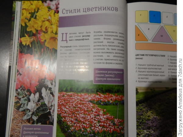 тттттт