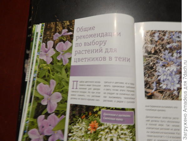 тттттт