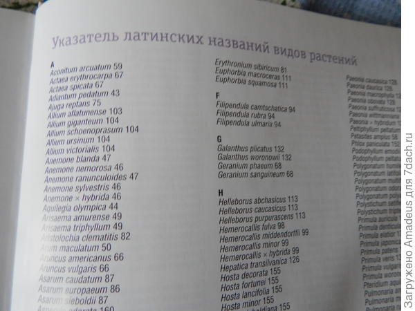 указатель латинских названий видов растений.