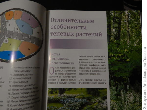 тттт