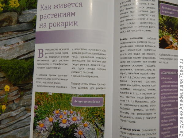 ттт
