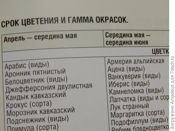 по срокам цветения и гамме окрасок