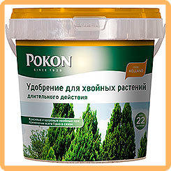 [31651m] POKON &amp;amp;amp;ETH;&amp;amp;amp;acute;&amp;amp;amp;ETH;&amp;amp;amp;raquo;&amp;amp;amp;Ntilde; &amp;amp;amp;Ntilde;&amp;amp;amp;ETH;&amp;amp;amp;sup2;&amp;amp;amp;ETH;&amp;amp;amp;frac34;&amp;amp;amp;ETH;&amp;amp;amp;sup1;&amp;amp;amp;ETH;&amp;amp;amp;frac12;&amp;amp;amp;ETH;&amp;amp;amp;cedil;&amp;amp;amp;ETH;&amp;amp;amp;ordm;&amp;amp;amp;ETH;&amp;amp;amp;frac34;&amp;amp;amp;ETH;&amp;amp;amp;sup2; &amp;amp;amp;ETH;&amp;amp;amp;acute;&amp;amp;amp;ETH;&amp;amp;amp;raquo;&amp;amp;amp;ETH;&amp;amp;amp;cedil;&amp;amp;amp;Ntilde;&amp;amp;amp;ETH;&amp;amp;amp;micro;&amp;amp;amp;ETH;&amp;amp;amp;raquo;&amp;amp;amp;Ntilde;&amp;amp;amp;ETH;&amp;amp;amp;frac12;&amp;amp;amp;ETH;&amp;amp;amp;frac34;&amp;amp;amp;ETH;&amp;amp;amp;sup3;&amp;amp;amp;ETH;&amp;amp;amp;frac34; &amp;amp;amp;ETH;&amp;amp;amp;acute;&amp;amp;amp;ETH;&amp;amp;amp;micro;&amp;amp;amp;ETH;&amp;amp;amp;sup1;&amp;amp;amp;Ntilde;&amp;amp;amp;Ntilde;&amp;amp;amp;ETH;&amp;amp;amp;sup2;&amp;amp;amp;ETH;&amp;amp;amp;cedil;&amp;amp;amp;Ntilde;, 900 &amp;amp;amp;ETH;&amp;amp;amp;sup3;