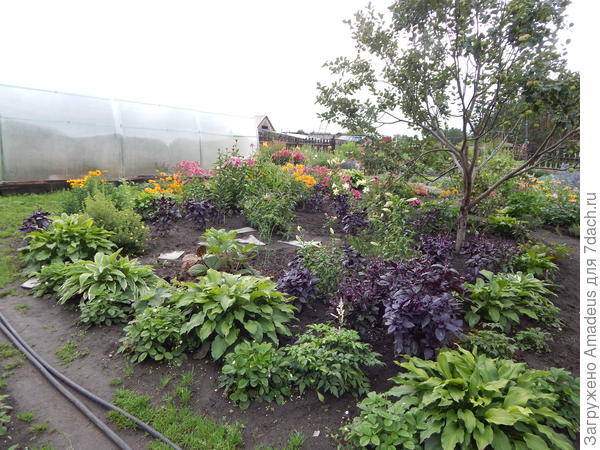 Этот материал я прочитала много раз , спасибо Люда! В вопросе о роматническом уголке - у меня взят для примера. А на самом деле не могу разобраться с пропорциями вот на этом участке. Мне здесь совсем не нравится . И на фото только часть  этого участка . На самом деле он состоит из 3 частей и соблюсти пропорции на нем никак не получается.