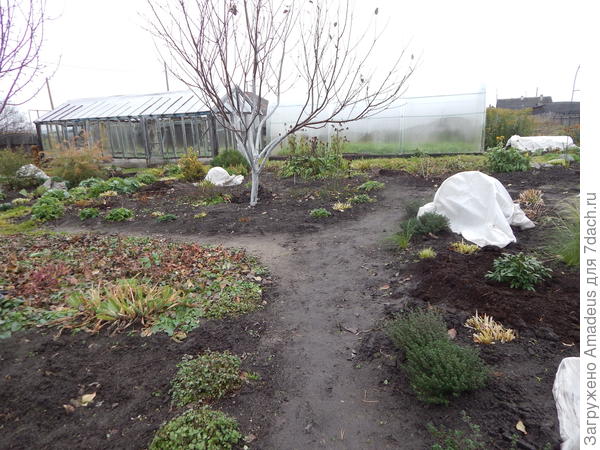 Вот такое деление этого участка. Первое фото от этого участка находится в левом углу  нижнего фото.