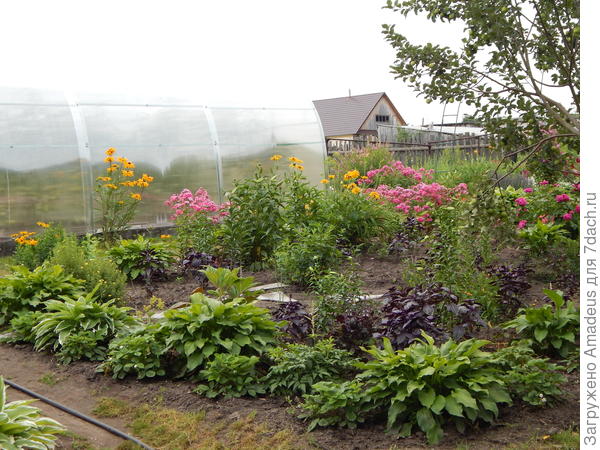 Вот этот уголок планирую переделать