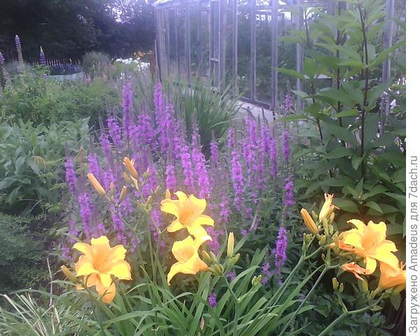 У старой теплицы уже есть такой. В углу справа на фото.