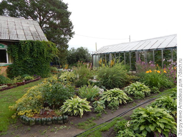 В середине участка самая высокая