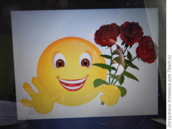 Поздравляю Ирину , Альбину, Татьяну , Нину и Альбину с отличием! Теперь смело можете решать дизайнерские решения в ландшафте садов и огородов! Нашим учителям отдельное спасибо за науку. И хочется сохранить в памяти все зимние и такие приятные посиделки! Всем участникам желаю удачных перевоплощений в своих садах! И спасибо сайту за такую нужную помощь!