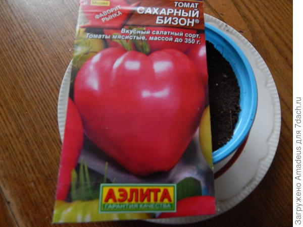 ттттт